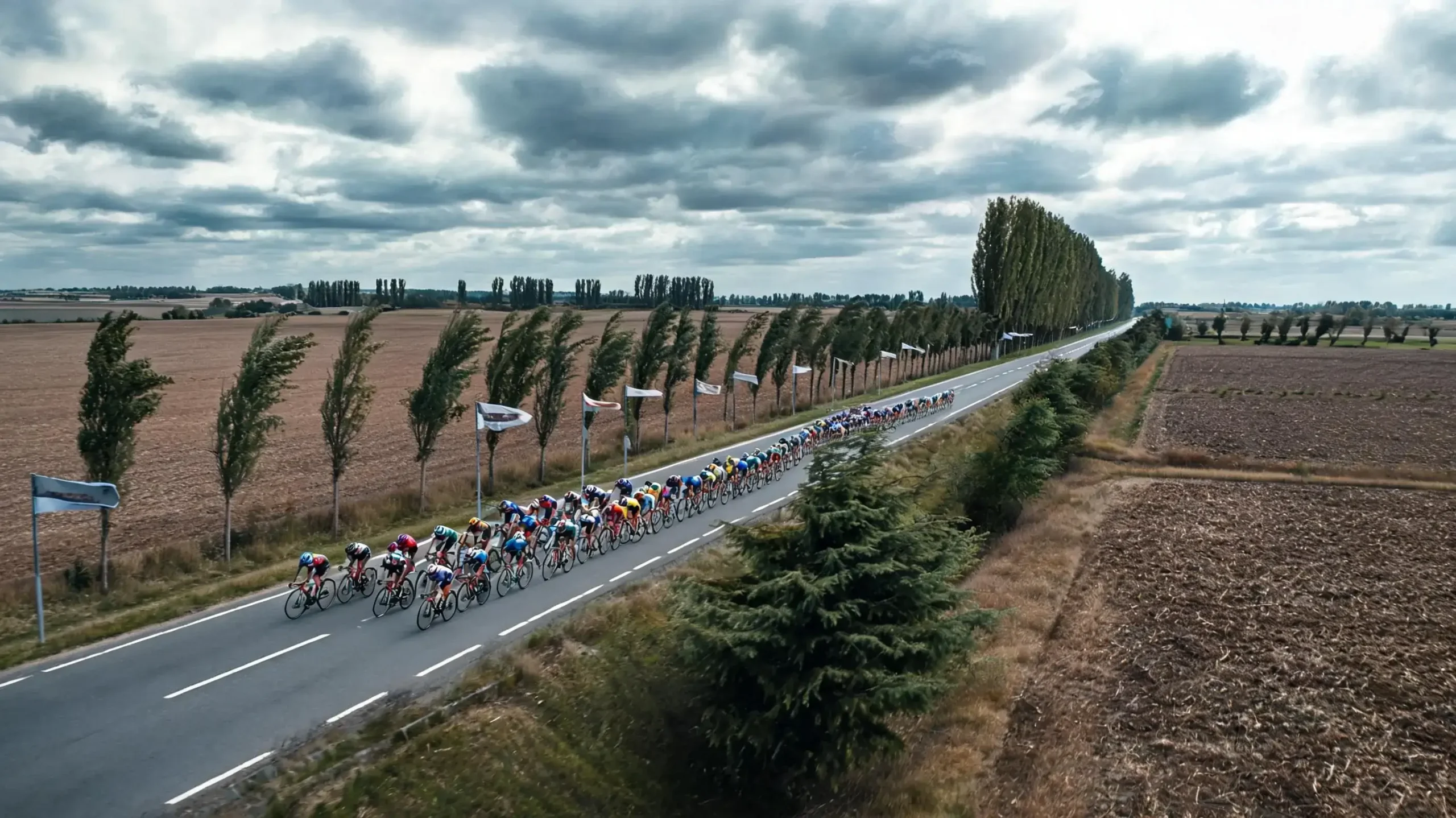Peloton cycliste dans le vent latéral formant des bordures sous ciel nuageux